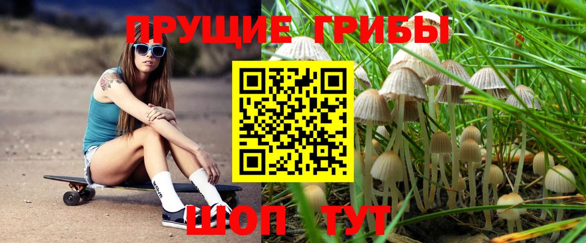 Сорочинск  Псилоцибиновые грибы мицелий  Вход с VPN 