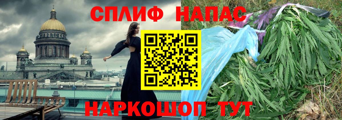 Бошки марихуана план  Вход с VPN  Каннабис сатива  Канабис THC 21%  Сорочинск 
