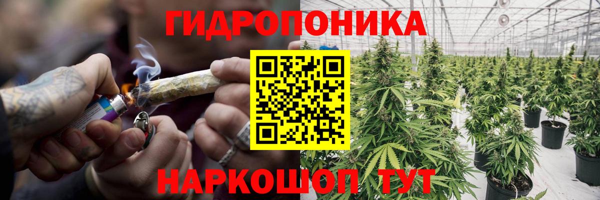 Марихуана планчик Сорочинск